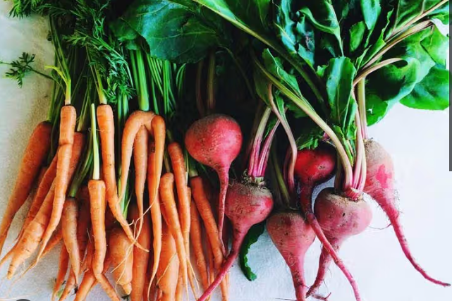 Healthy Roots Snacks