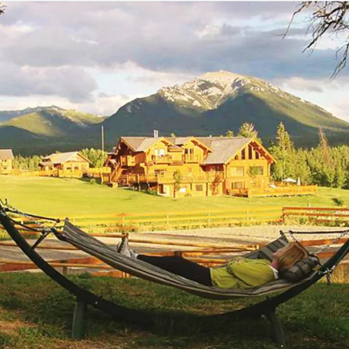 Detox Yourself in Nature