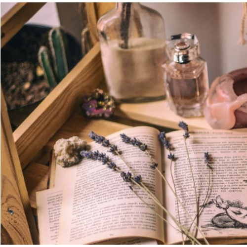 The Scent of a Memory